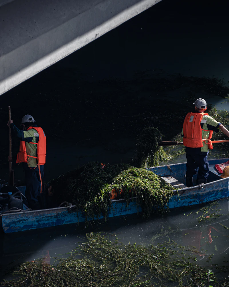 Two workers in orange safety vests clearing weed from a canal by boat